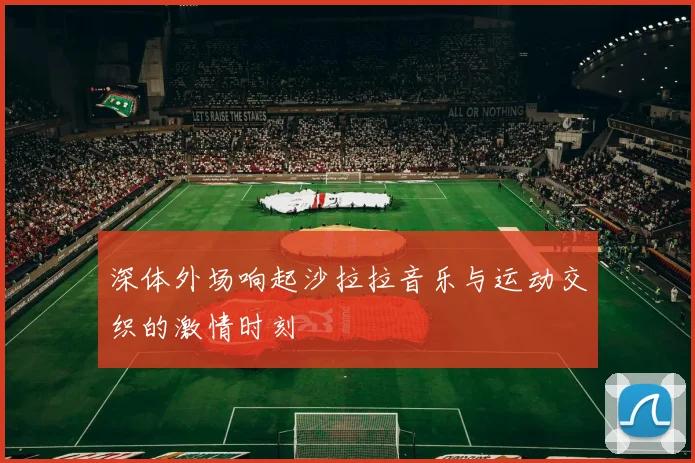 深体外场响起沙拉拉音乐与运动交织的激情时刻