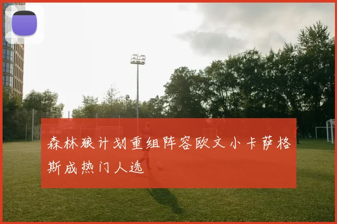 森林狼计划重组阵容欧文小卡萨格斯成热门人选